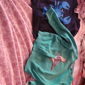 spring/fall sweaters